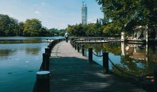 公园里的九曲桥