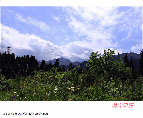 想念风景