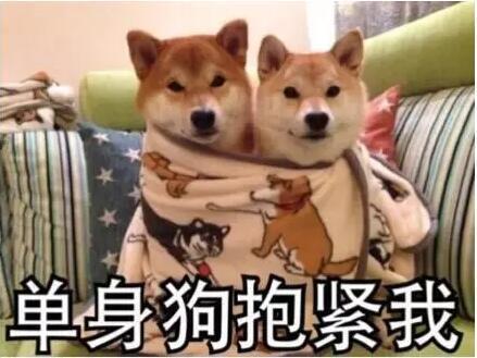 与狗的日子