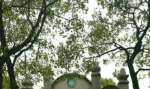 又是一年雨落时