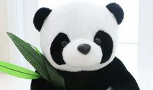 我最喜爱的一种玩具