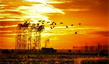 秋高气爽的秋天