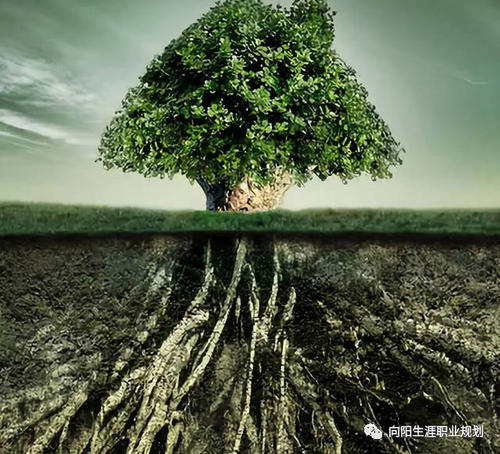 植根于文明土壤