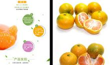 我喜欢的水果——桔子
