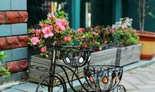 院落里的三轮车