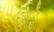 向着有阳光的地方生长