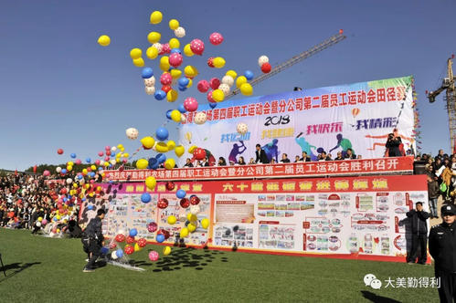 难忘的农场游戏