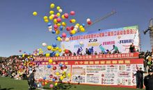 难忘的农场运动会