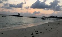 假如我是一片海