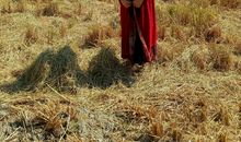 遇见秋天遇见你