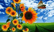 每一天都是特别的