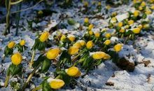 坚守梦想真的不容易