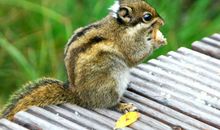 分享，为成长增添一抹亮色