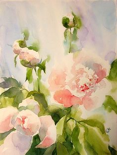 生命中的那朵花