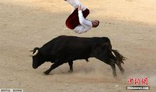 一场有趣的“斗牛”比赛