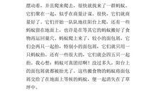 以“我周围的环境”为话题的说明文