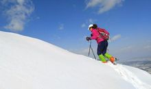 助人为乐的朋友