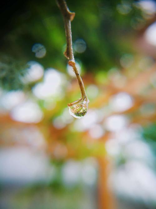 多雨的想法