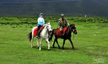 我和马场有个约会