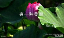 有一种美丽叫善良