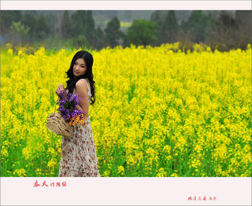 春天的想法