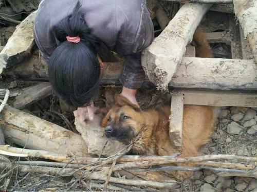 狗嘴逃生
