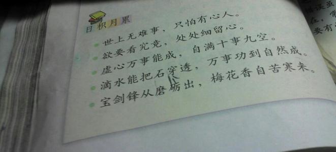伴侣使意志更坚定