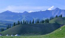 我和草原有个约会