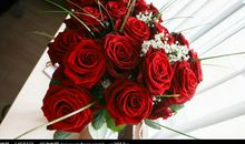 一束玫瑰花