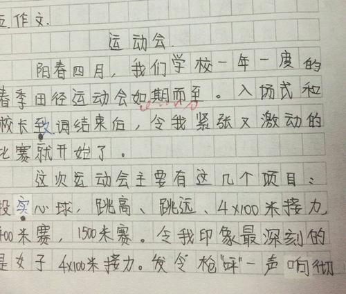 游戏欢呼作文