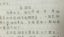 运动会加油作文