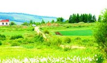 春天的田园风光