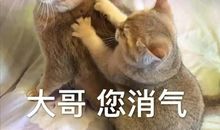 对不起那充满希望的目光