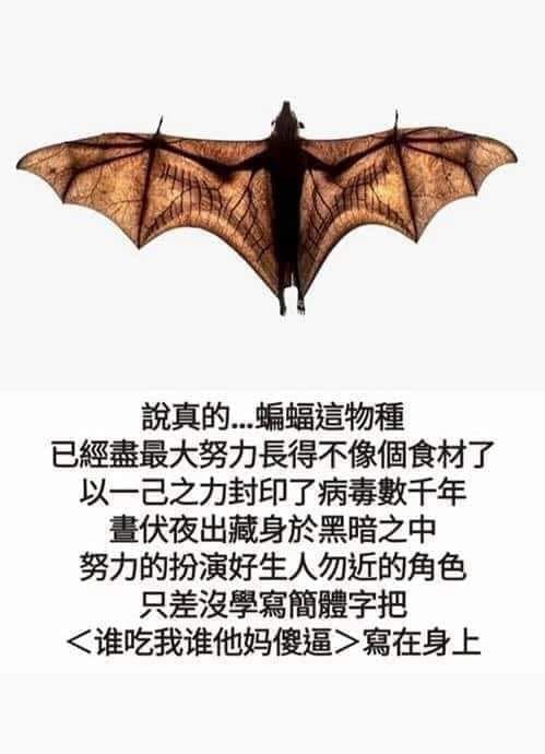 青蛙给人类的信