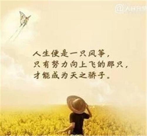 只有工作才能成功