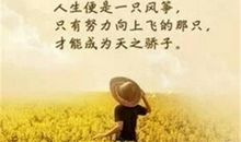 只有付出才能成功