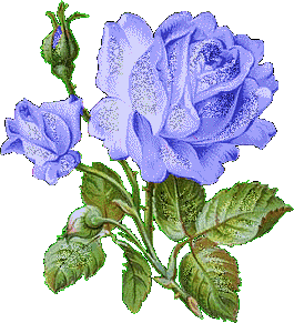 享受四个季节的乐趣