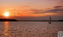 古典诗词让我陶醉