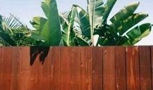 努力的生命最美丽读后感