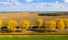 农村的美丽秋景