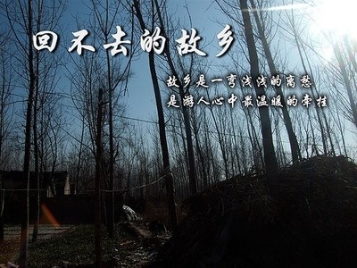 我不能回老家