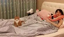 意外的圣诞礼物