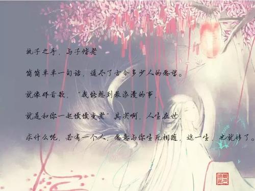 触动灵魂的画面