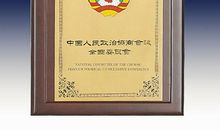 关于奖牌的作文