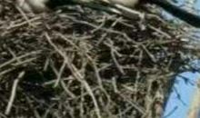 我想和春天做朋友