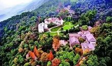 森林城市靠大家