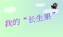 我的长生果