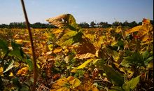 秋天，有风吹过