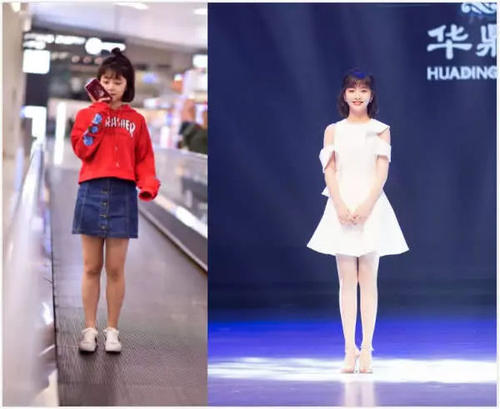 大象减肥