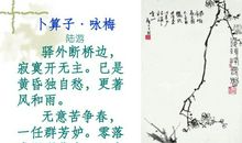 卜算子·咏梅改写